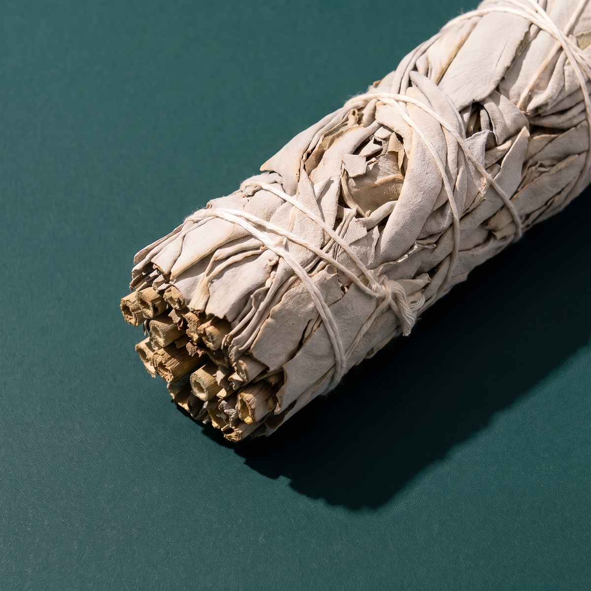 Organic White Sage Smudge Stick (4 in.) — Classic Space Cleansing – botanical detail
