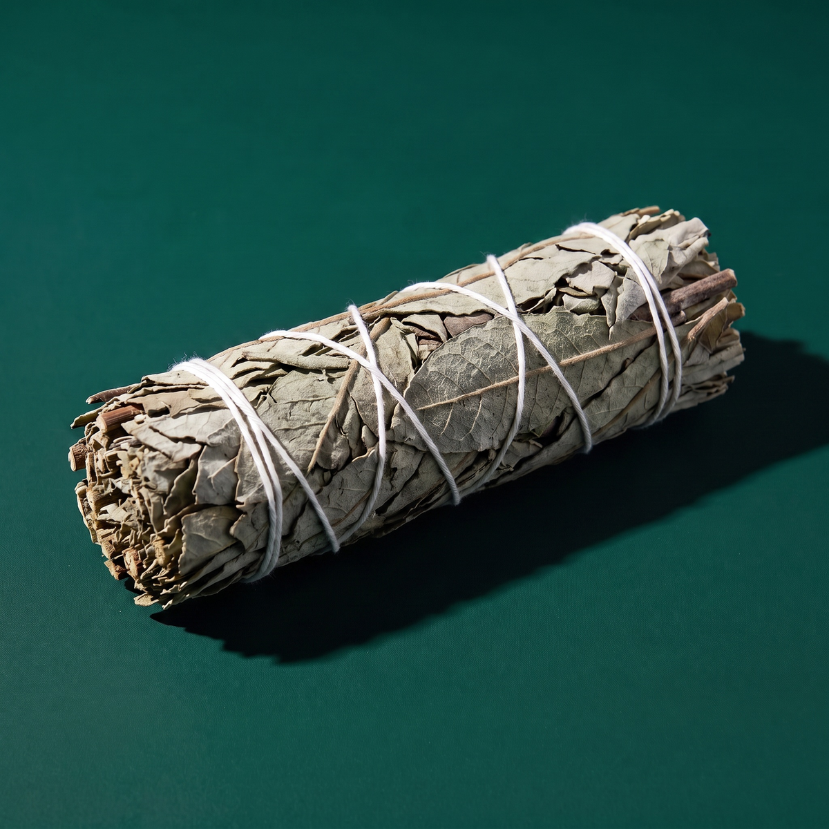 Yerba Santa Smudge Stick — Sacred Smoke for Blessings & Calm (4 in.) – botanical detail