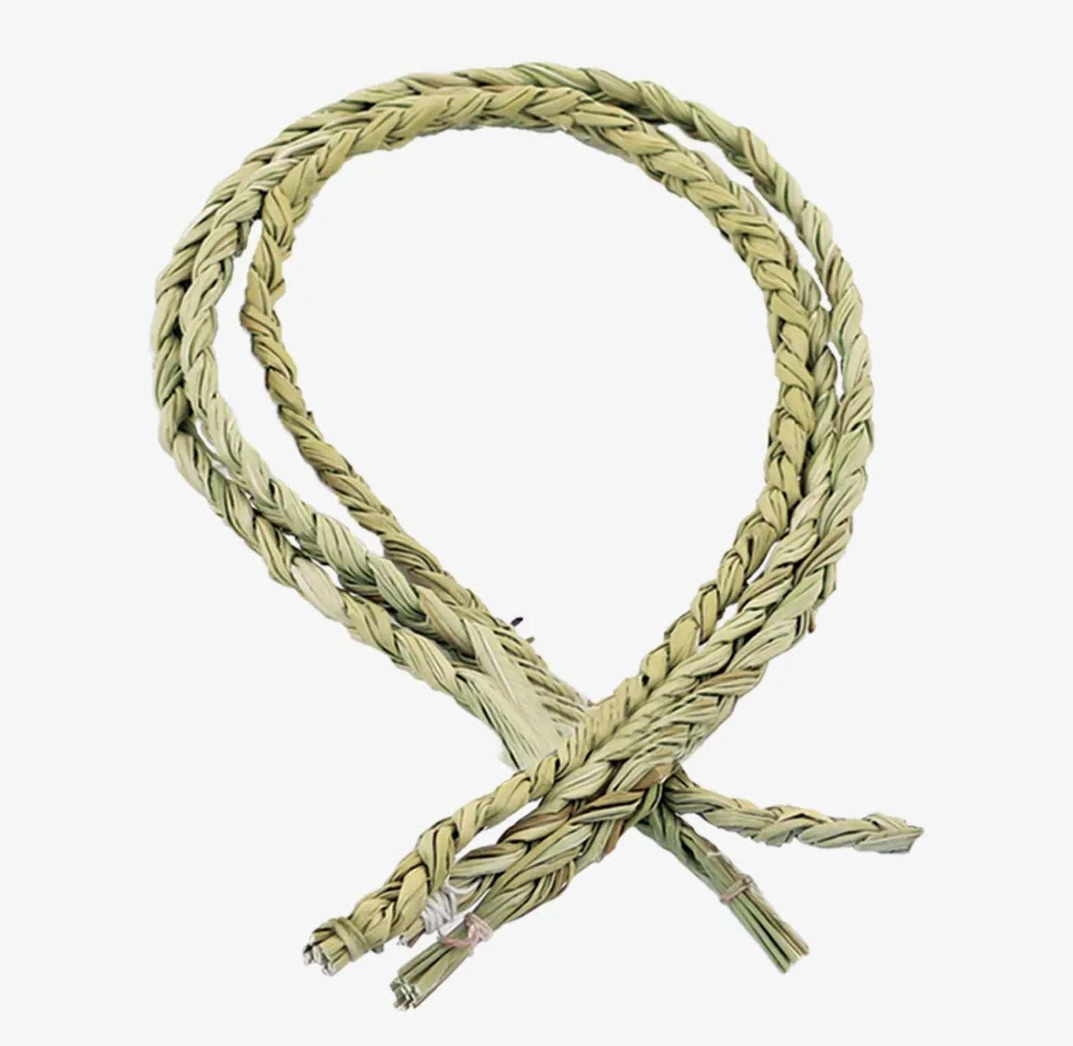 Long braided sweetgrass smudge braid, 30 inches, coiled on a plain background