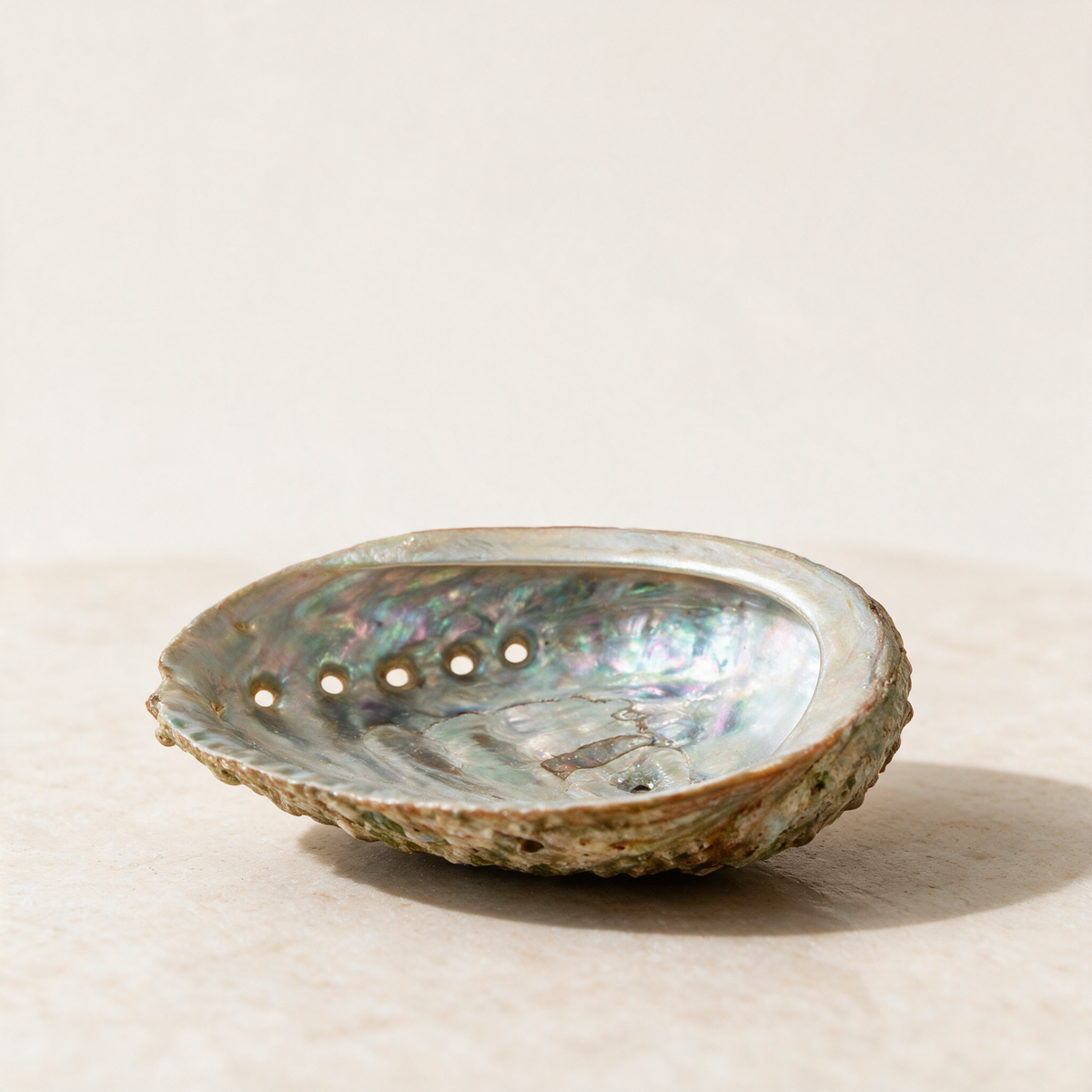 Abalone Shell — 5-Inch Natural Smudge Bowl – ritual context