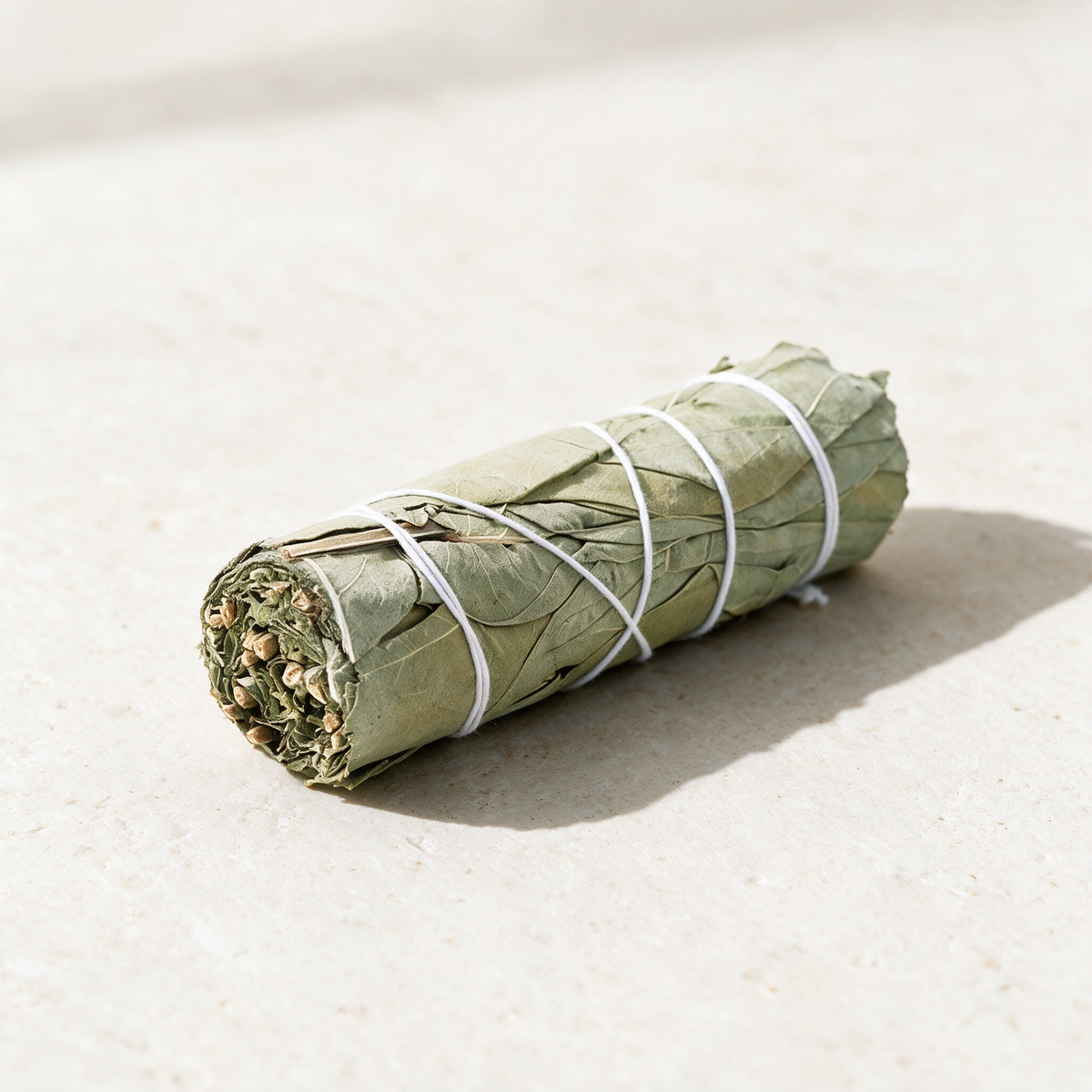 California Eucalyptus Smudge Stick — Energizing Space-Clearing Bundle (4 in.) – botanical detail