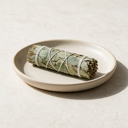 California Eucalyptus Smudge Stick — Energizing Space-Clearing Bundle (4 in.) – ritual context