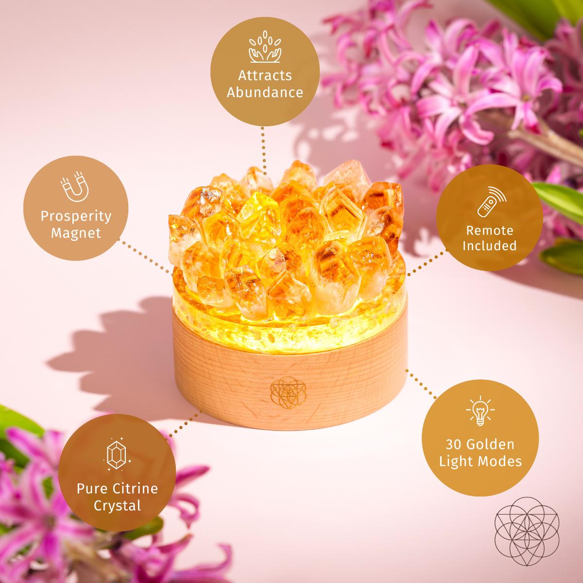Turn My Life to Gold — Midas Citrine Lamp for Abundance