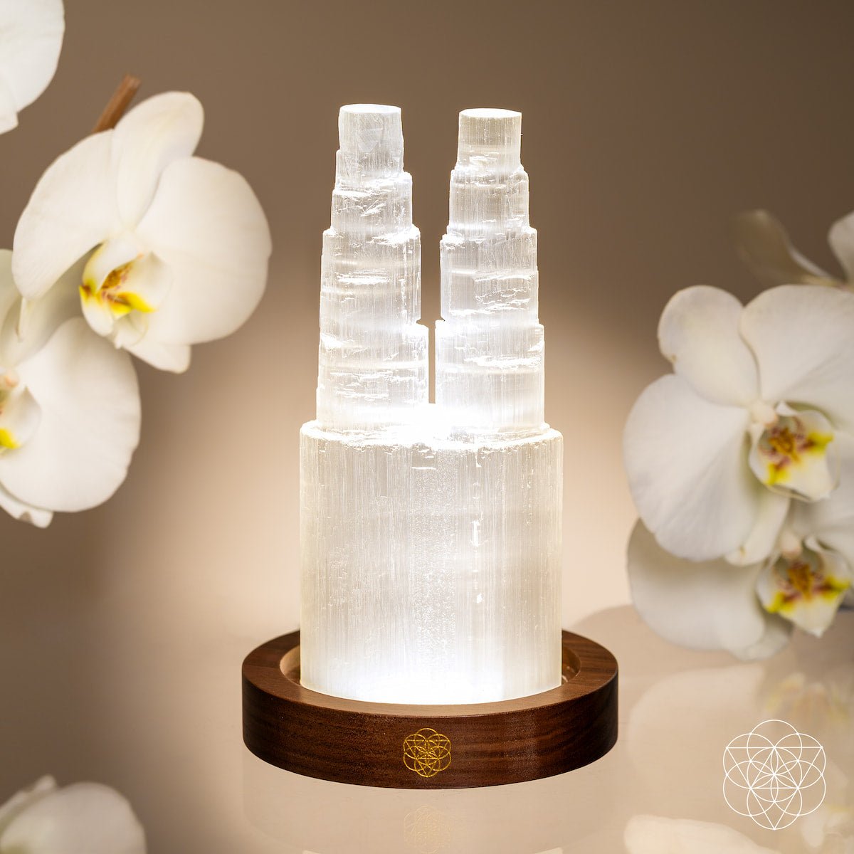 Two carved Selenite towers glowing side by side on a wooden base — view 2